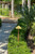 PRISM-30 Area Light with 10" Square Hat (Natural Brass)