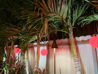 POLYNESIAN Tiki Torch Area Light