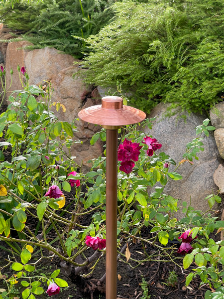 PATHFINDER6-29 Path Light with 6" Round Hat (Natural Copper)