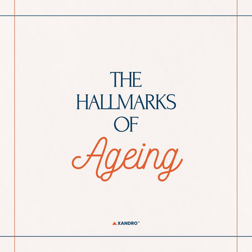 What Are the Hallmarks of Ageing? Key Markers and Their Importance