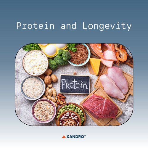Protein & Longevity: How It Affects Ageing and Muscle Health