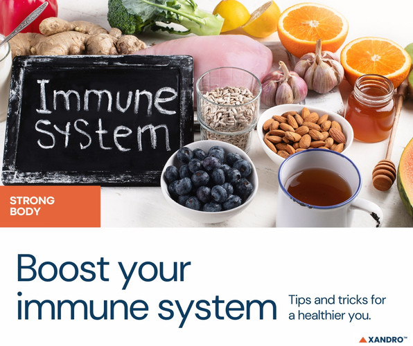 Ageing and Immune System: Immune Health Routine