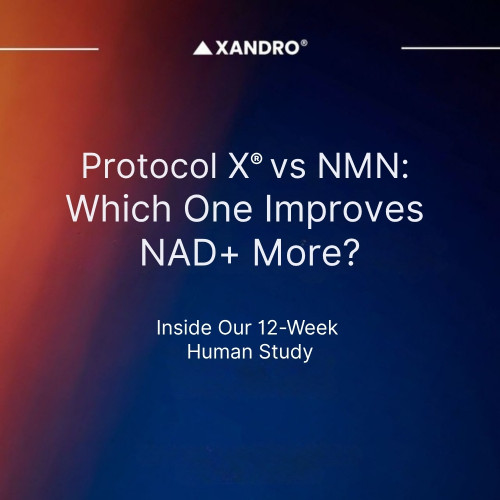 Protocol X vs NMN: Which One Improves NAD+ More?