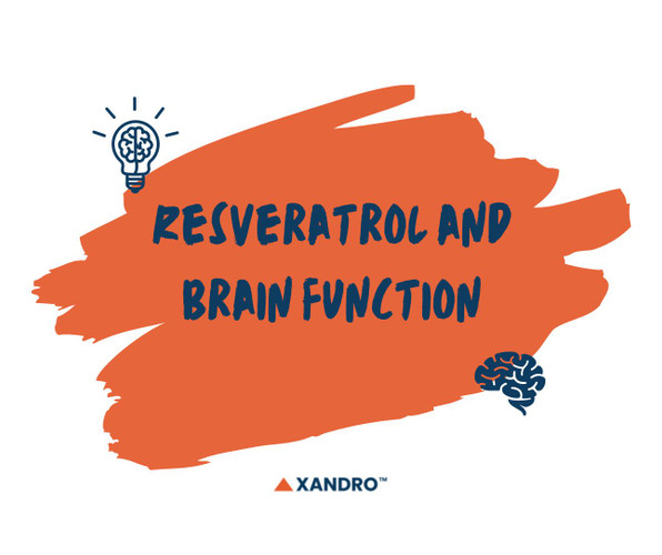 Resveratrol and Brain Function
