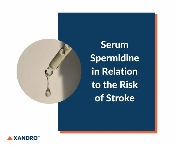 Serum Spermidine & Stroke Risk: Studies, Findings and Implications