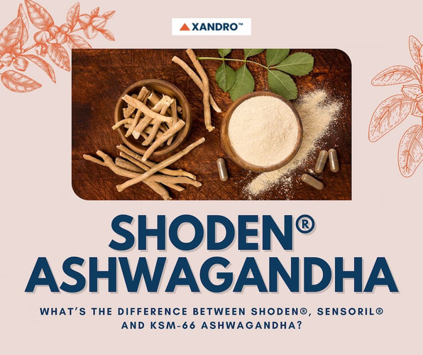 Why You Should be Taking Shoden® Ashwagandha 