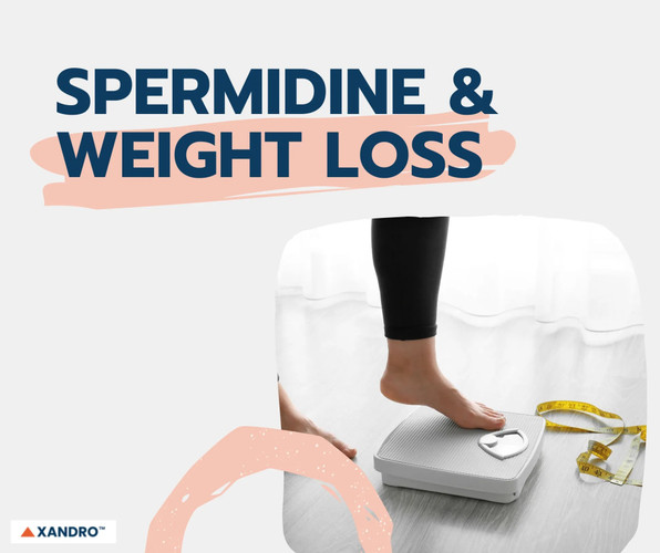 Spermidine for Weight Loss: Unlocking Natural Metabolism Support