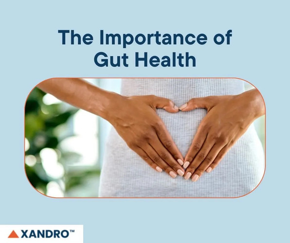 The Importance of Gut Health: Unlocking Wellness Potential