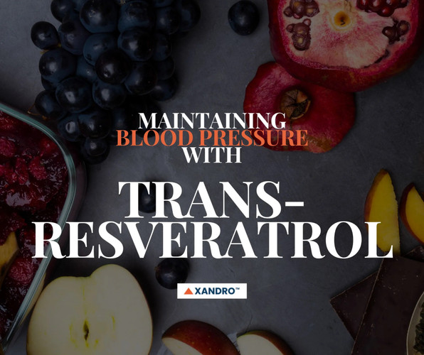 Trans-Resveratrol and Blood Pressure: Scientific Potential