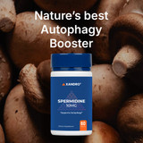 Xandro Lab Spermidine