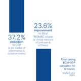 BCM-95® Turmeric Curcumin Research