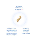 Shoden® Ashwagandha Benefits