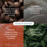 Protocol X V3 Ingredient Benefits