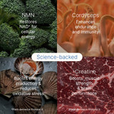 Protocol X V3 Ingredient Benefits