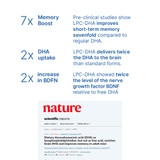 LPC Neuro Cognitive Benefits