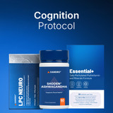 Xandro Lab Cognition Protocol