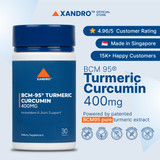 Xandro Lab Turmeric Curcumin