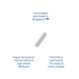 Xandro Lab Neuro X Benefits