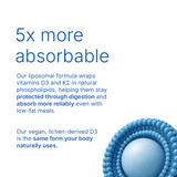 Liposomal Vitamin D3 + K2 Key Ingredients