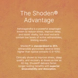 [SG61] Shoden® Ashwagandha 120 mg