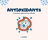 Top Antioxidants Against ROS