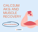 What are the benefits of Calcium AKG on Muscle Recovery?