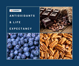 Why are antioxidants thought to extend life expectancy?