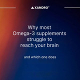 Why Most Omega-3 Supplements Struggle to Reach Your Brain