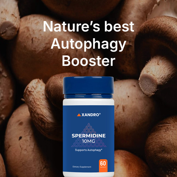 Xandro Lab Spermidine