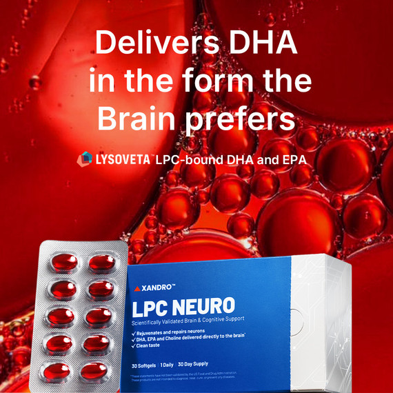 LPC Neuro