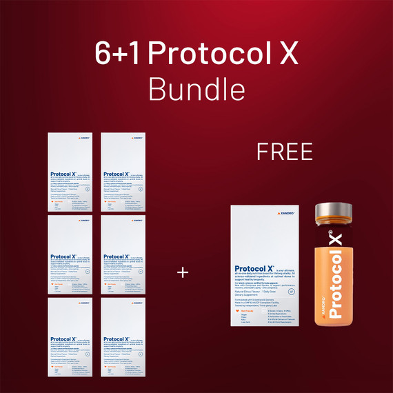 [SG61] Protocol X