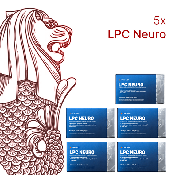 [SG60] 5x LPC Neuro