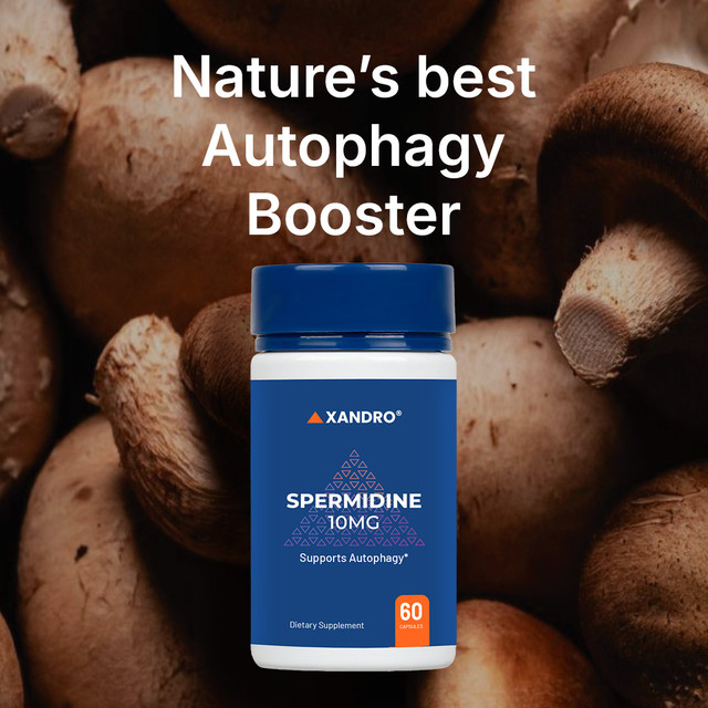 Xandro Lab Spermidine