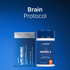 Brain Protocol