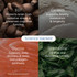 Protocol X V3 Ingredient Benefits