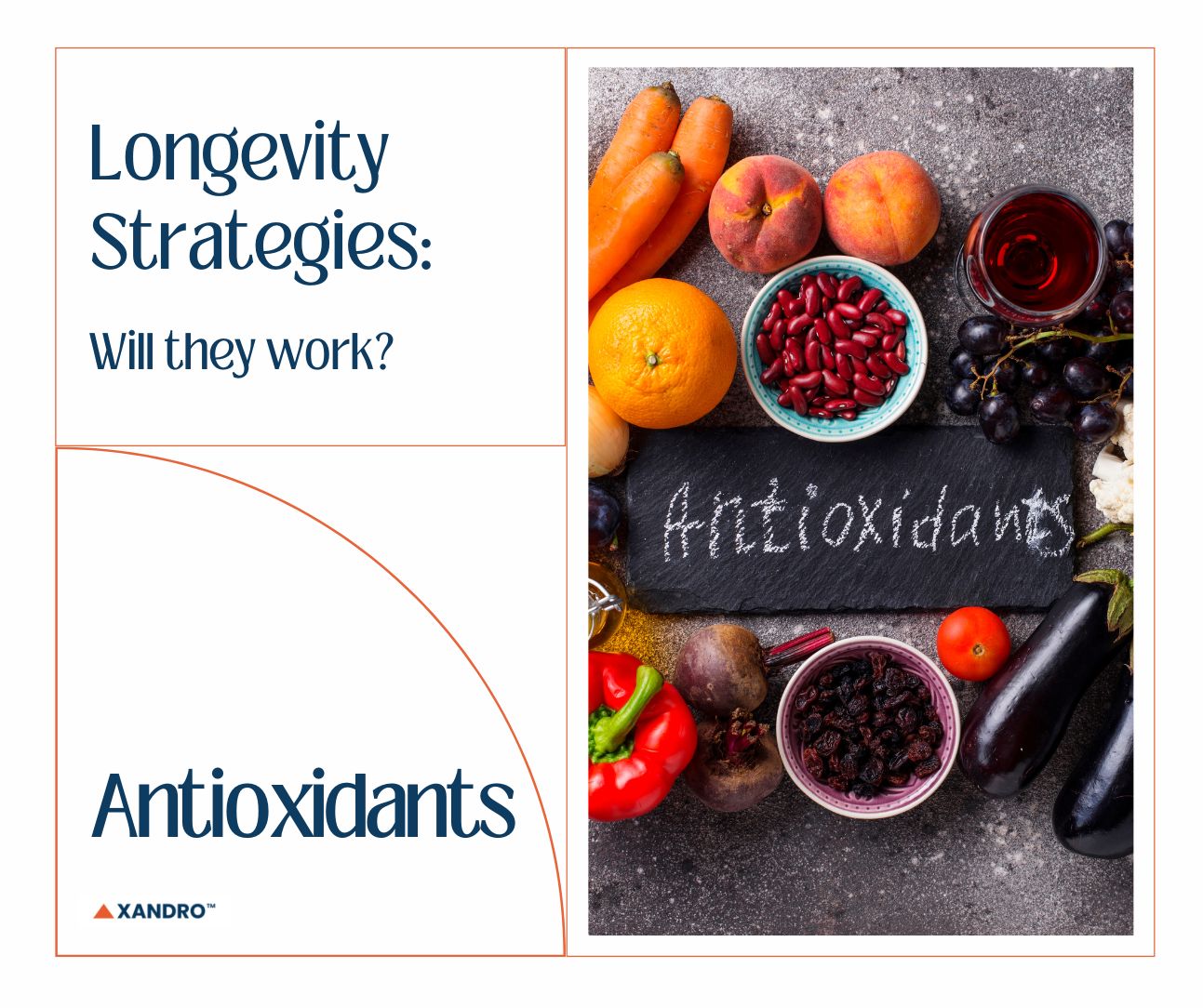 Do Antioxidants Actually Extend Lifespan? Xandro Lab