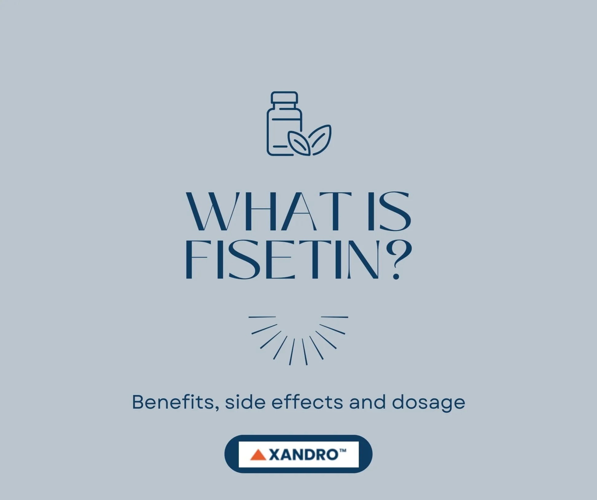 Fisetin and its potential for Longevity and Cognitive Health - Xandro Lab