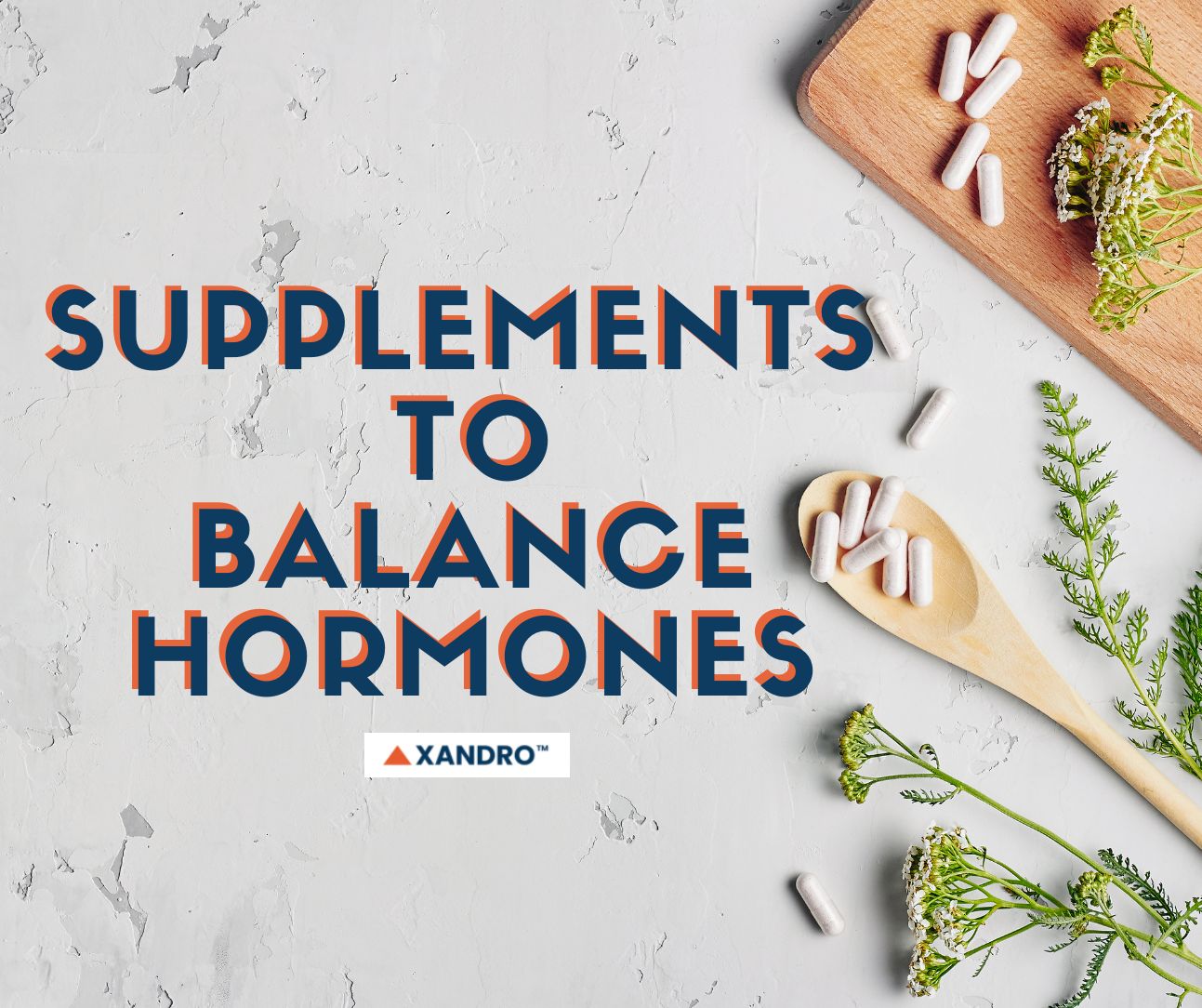 What Supplements Help Hormone Imbalance? Xandro Lab