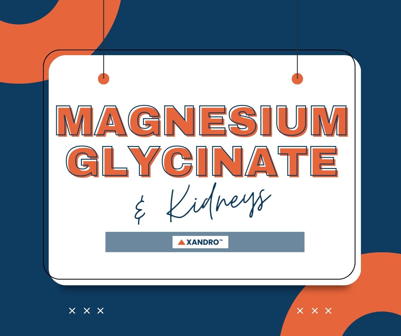 Does Magnesium Supplement Affect Kidneys Xandro Lab