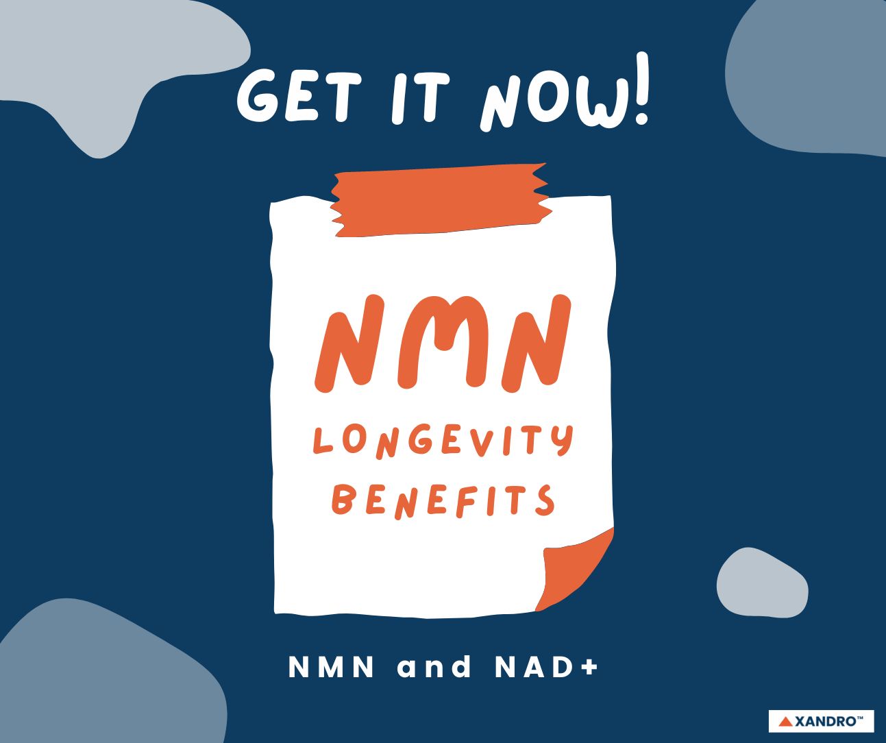 Why You Should Be Taking NMN Supplements! Xandro Lab