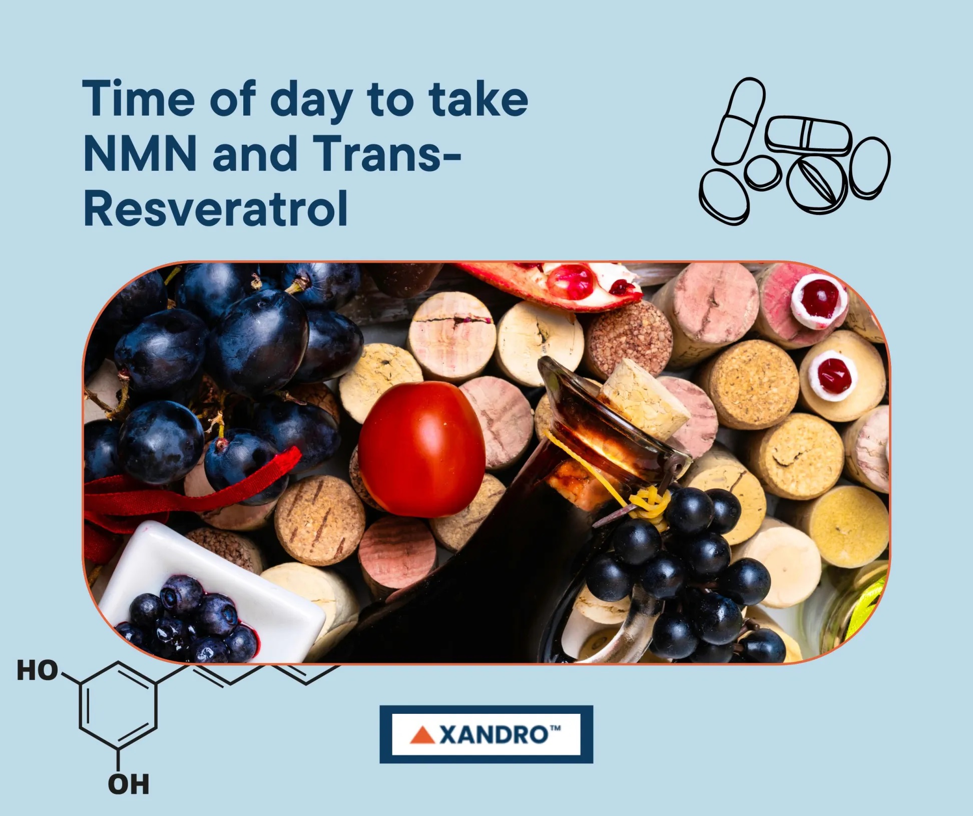 When to take NMN and TransResveratrol Supplements Xandro Lab