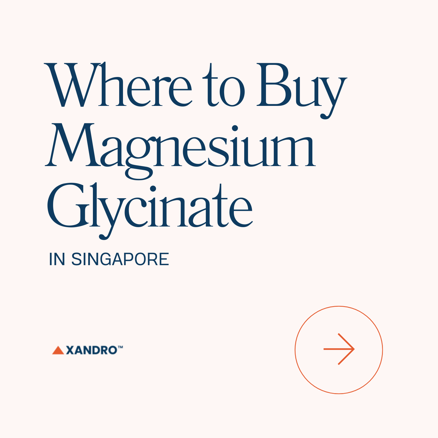 Where to Buy Magnesium Glycinate Supplements in Singapore: Local Stores and  Brands - Xandro Lab