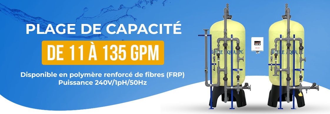 Dual Bed Deionizer DM-6000