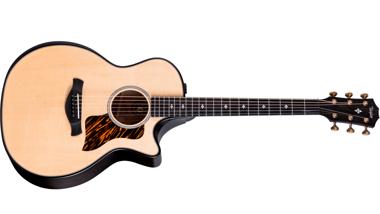 Taylor 50th Anniversary Builder S Edition 314ce Ltd Natural