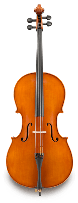 Eastman VC20078ST 7/8 A. Samuel Cello Oufit