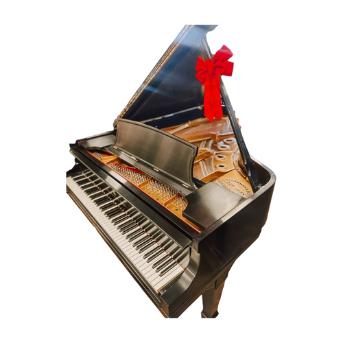 Steinway B  6'11" Fully Restored Grand Piano Ebony Satin