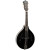 Recording King Dirty 30s A Mandolin Gloss Black
