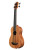 Kala Nomad A/E U-Bass Uke Satin Mahogany Aquila Thunderblack Strings Fretted w/Bag