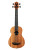 Kala Nomad A/E U-Bass Uke Satin Mahogany Aquila Thunderblack Strings Fretted w/Bag