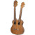 Ortega Double Neck A/E Uke w/Bag